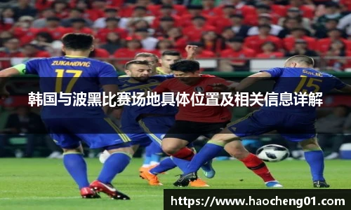 韩国与波黑比赛场地具体位置及相关信息详解